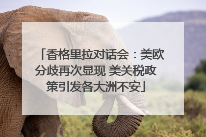 香格里拉对话会：美欧分歧再次显现 美关税政策引发各大洲不安