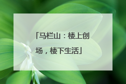 马栏山：楼上创场，楼下生活