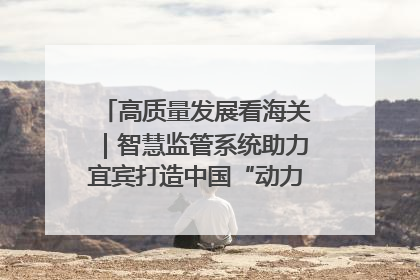 高质量发展看海关｜智慧监管系统助力宜宾打造中国“动力电池之都”
