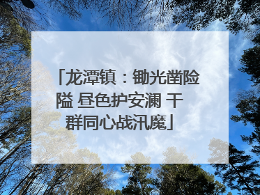龙潭镇：锄光凿险隘 昼色护安澜 干群同心战汛魔