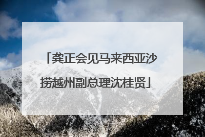 龚正会见马来西亚沙捞越州副总理沈桂贤