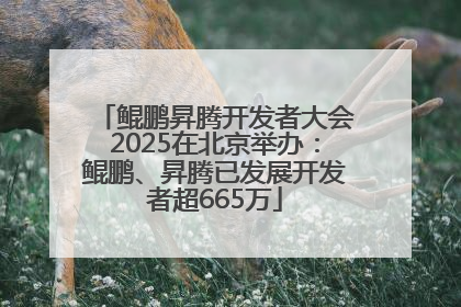 鲲鹏昇腾开发者大会2025在北京举办：鲲鹏、昇腾已发展开发者超665万