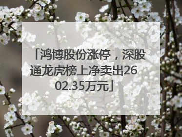 鸿博股份涨停，深股通龙虎榜上净卖出2602.35万元