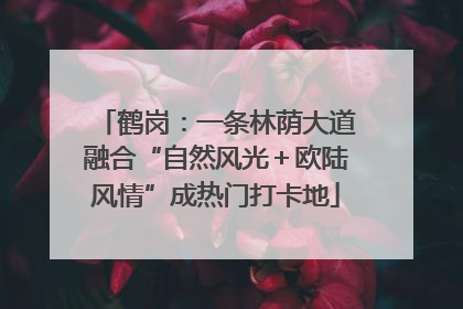 鹤岗：一条林荫大道融合“自然风光＋欧陆风情”成热门打卡地