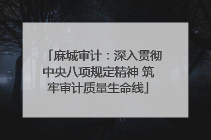 麻城审计：深入贯彻中央八项规定精神 筑牢审计质量生命线