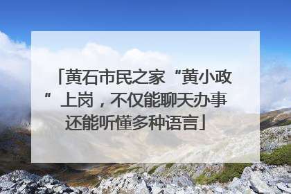 黄石市民之家“黄小政”上岗，不仅能聊天办事还能听懂多种语言