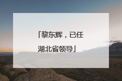 黎东辉，已任湖北省领导