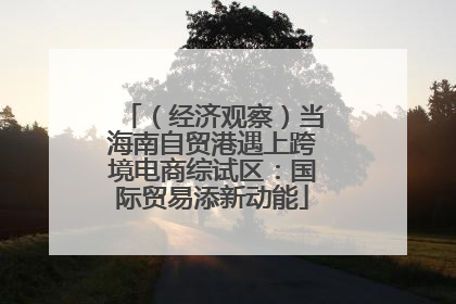 （经济观察）当海南自贸港遇上跨境电商综试区：国际贸易添新动能