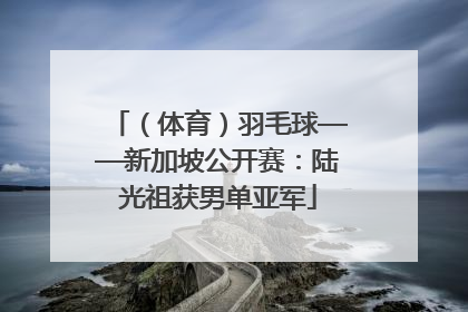 （体育）羽毛球——新加坡公开赛：陆光祖获男单亚军