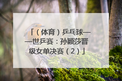 （体育）乒乓球——世乒赛：孙颖莎晋级女单决赛（2）