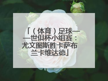 （体育）足球——世俱杯小组赛：尤文图斯胜卡萨布兰卡维达德