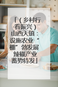 （乡村行·看振兴）山西天镇：设施农业“棚”勃发展 辣椒产业蓄势待发