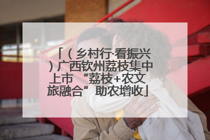 （乡村行·看振兴）广西钦州荔枝集中上市 “荔枝+农文旅融合”助农增收