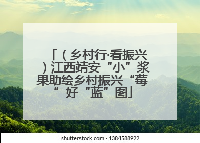 （乡村行·看振兴）江西靖安“小”浆果助绘乡村振兴“莓”好“蓝”图
