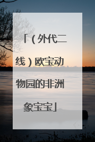 （外代二线）欧宝动物园的非洲象宝宝