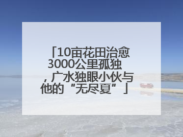 10亩花田治愈3000公里孤独，广水独眼小伙与他的“无尽夏”