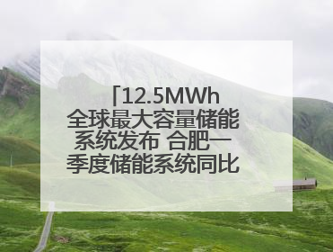 12.5MWh全球最大容量储能系统发布 合肥一季度储能系统同比增长425%