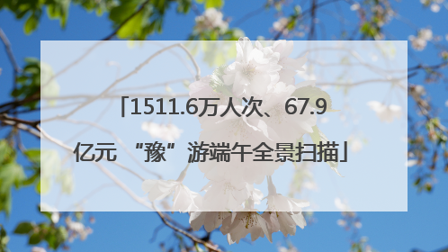 1511.6万人次、67.9亿元 “豫”游端午全景扫描