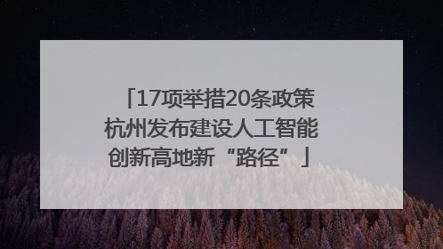 17项举措20条政策 杭州发布建设人工智能创新高地新“路径”