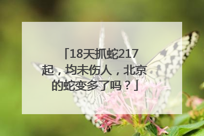 18天抓蛇217起，均未伤人，北京的蛇变多了吗？