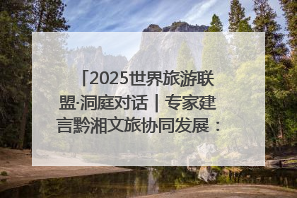 2025世界旅游联盟·洞庭对话｜专家建言黔湘文旅协同发展：聚焦产品稀缺性 深化区域经验共享
