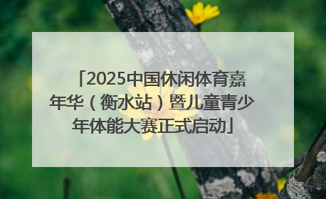 2025中国休闲体育嘉年华（衡水站）暨儿童青少年体能大赛正式启动