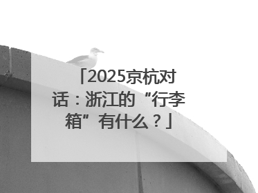 2025京杭对话：浙江的“行李箱”有什么？