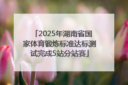 2025年湖南省国家体育锻炼标准达标测试完成5站分站赛