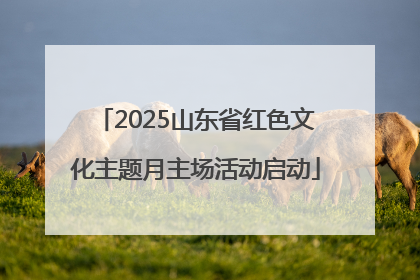 2025山东省红色文化主题月主场活动启动