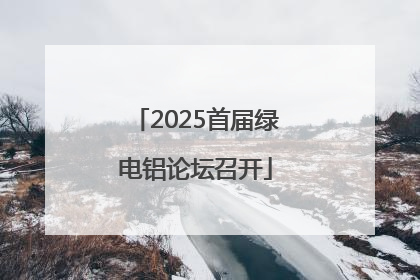 2025首届绿电铝论坛召开