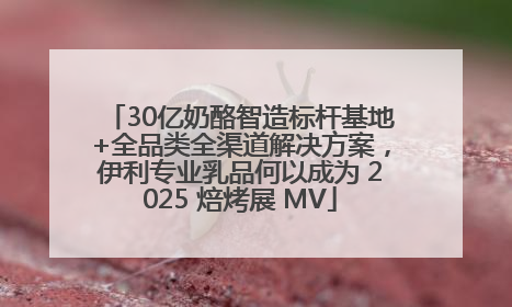 30亿奶酪智造标杆基地+全品类全渠道解决方案，伊利专业乳品何以成为 2025 焙烤展 MV