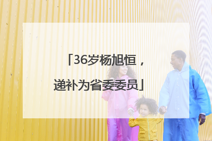 36岁杨旭恒，递补为省委委员