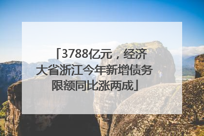 3788亿元，经济大省浙江今年新增债务限额同比涨两成