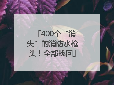 400个“消失”的消防水枪头！全部找回