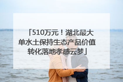 510万元！湖北最大单水土保持生态产品价值转化落地孝感云梦