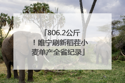 806.2公斤！睢宁刷新稻茬小麦单产全省纪录