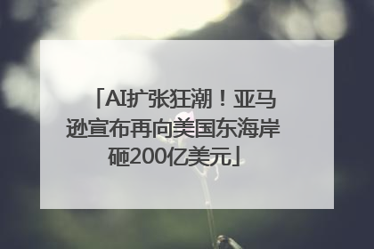 AI扩张狂潮！亚马逊宣布再向美国东海岸砸200亿美元