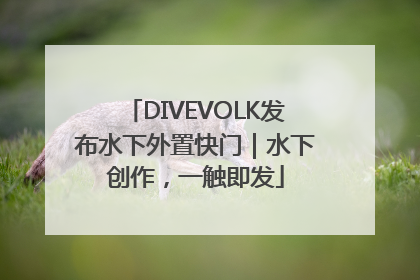 DIVEVOLK发布水下外置快门｜水下创作，一触即发