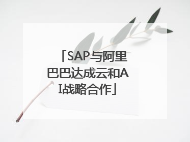 SAP与阿里巴巴达成云和AI战略合作