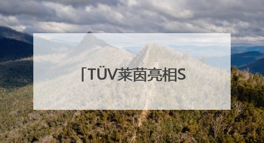 TÜV莱茵亮相SNEC PV+ 2025，赋能新能源产业高质量发展